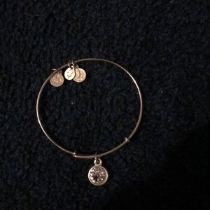 Alex and ani